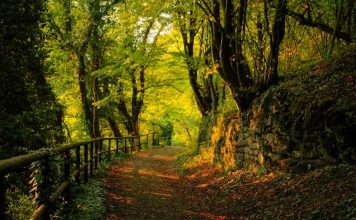 Καθυστερεί η μελέτη δασικών εκτάσεων στην Κόνιτσα