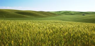 Μέτρα στήριξης για νέους γεωργούς και παραγωγή κτηνοτροφία