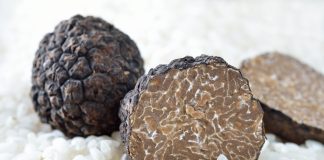 Πεζοπορία και… κυνήγι τρούφας στους εθνικούς δρυμούς Βίκου-Αώου