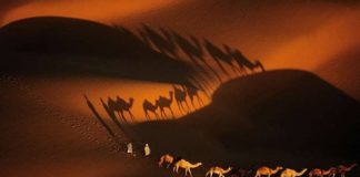 Τα σκυλιά γαβγίζουν, το καραβάνι προχωρά