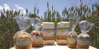 Στο «Αγρόκτημα Παπαγεωργίου» στην Κόνιτσα